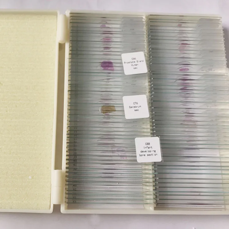 

100 PCS education Professional Medical Study animal histology slides Microscope Prepared Slides