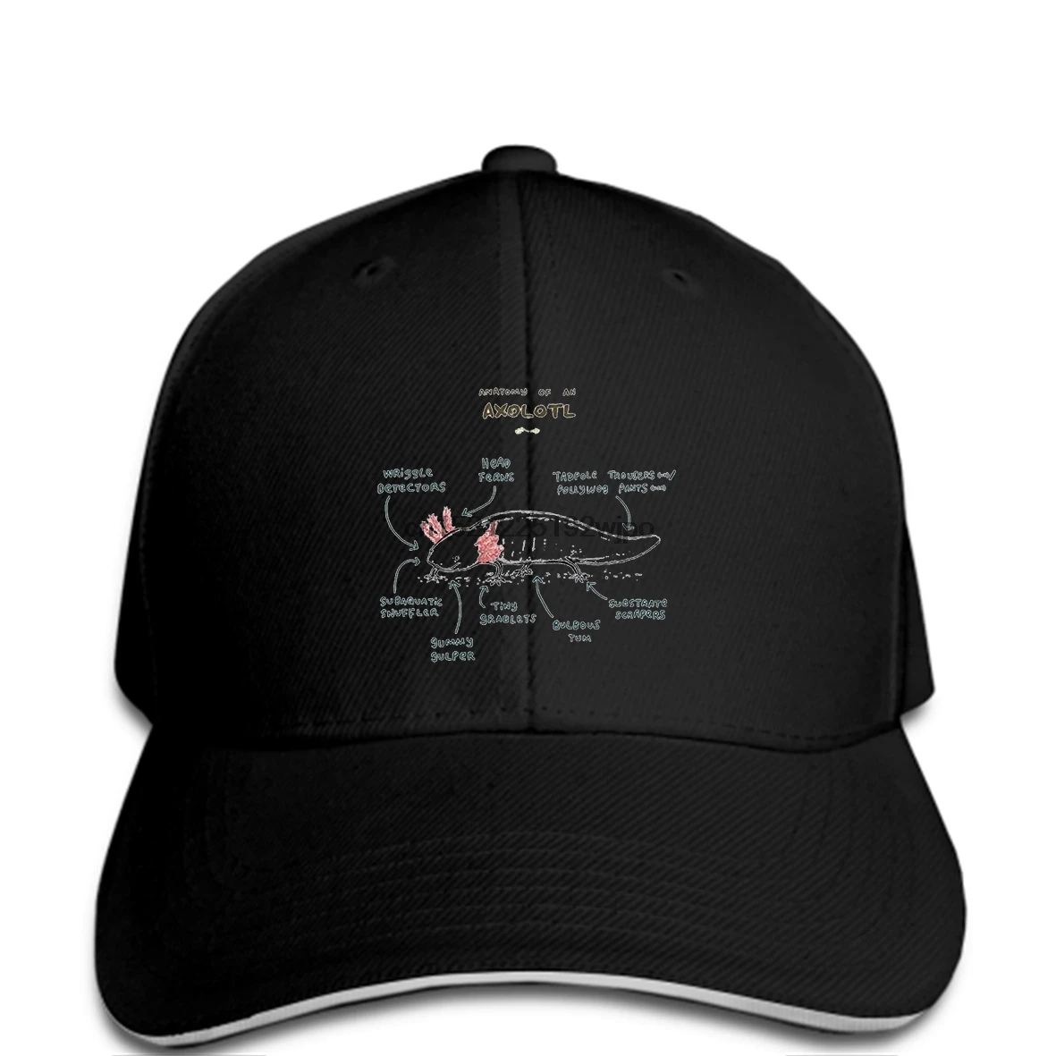 

2018 Fashion Baseball cap Hot Topic Men'S Anatomy Of An Axolotl Compression Baseball caps