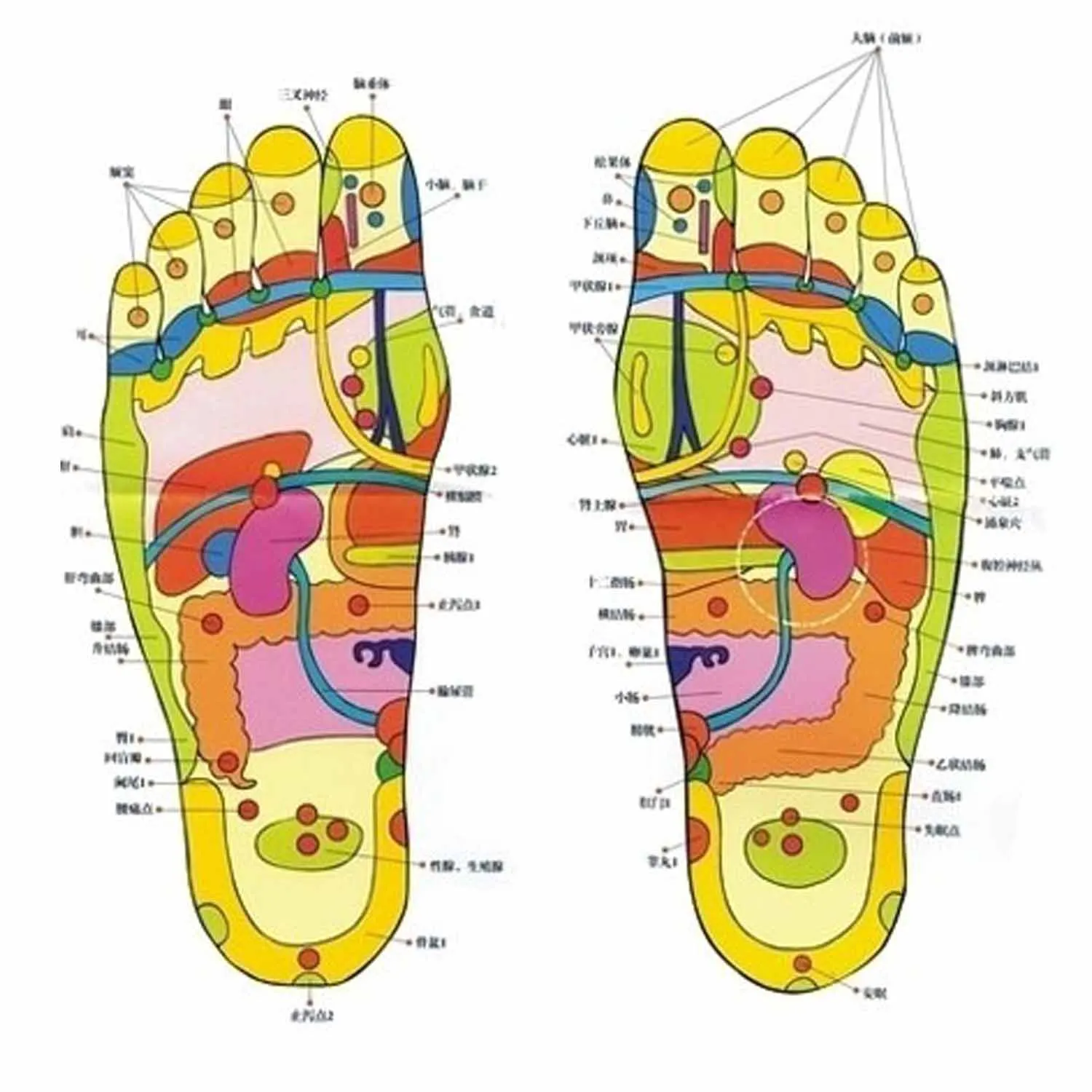 Sumifun Kinoki детоксикационные подушечки для ног пластырь очищающий ноги китайский медицинский Plster(20 шт подушечки+ 20 шт клей) D1016