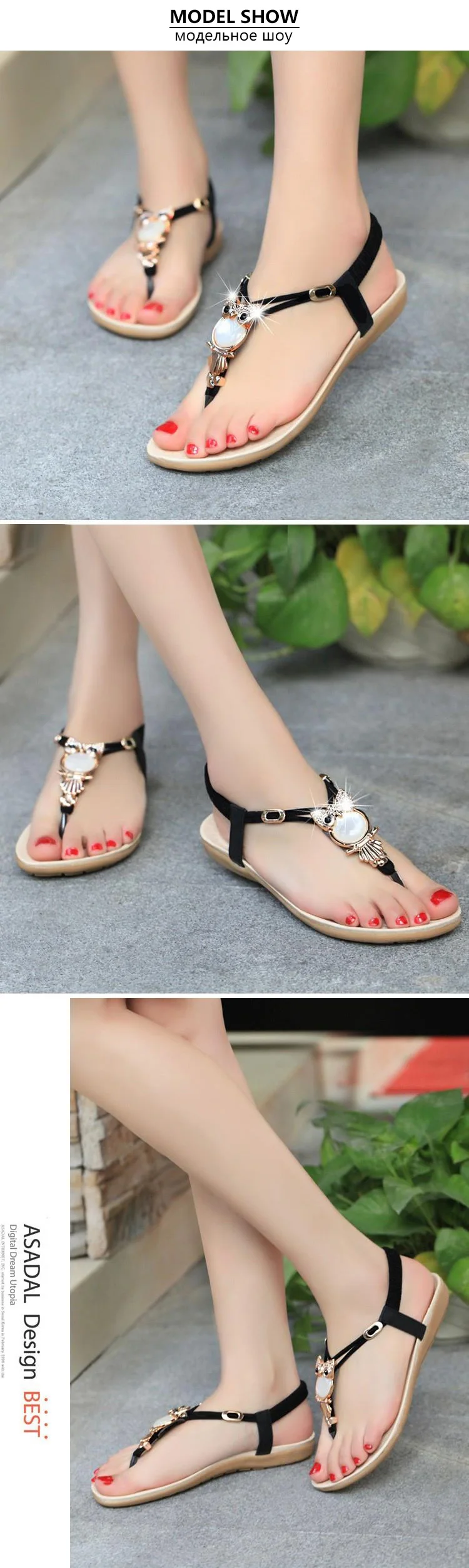 HTB1yAy.LVXXXXXwXXXXq6xXFXXXC