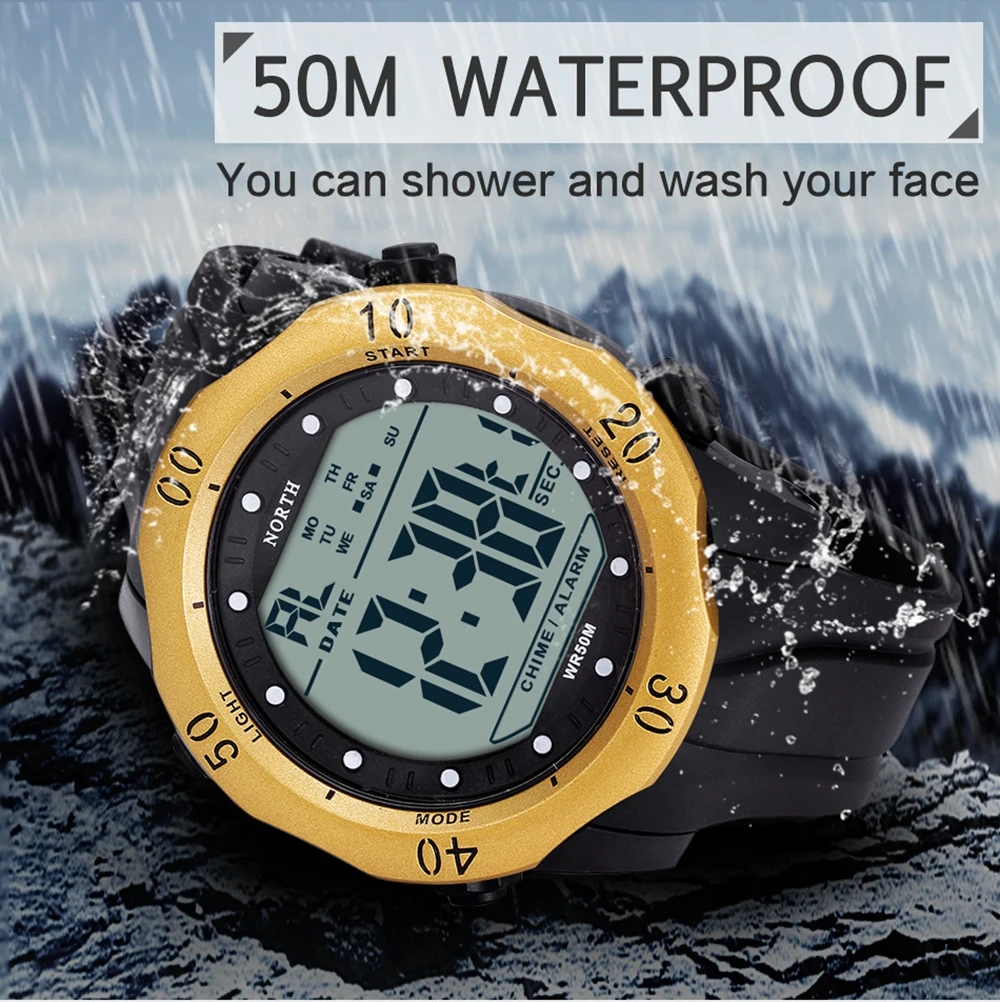 5446601544_137232038