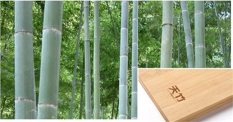 Экологичная бамбуковая Толстая пищевая разделочная доска для фруктов, дома из цельного дерева, для кухни, большой чехол, большой разделочный блок
