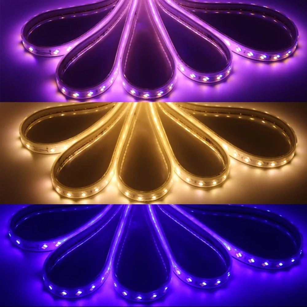 

EU 220V 120Leds/m 5630 Led Strip Blue+Warm White/Warm White+White 3 Modes Double Color Waterproof Flexible Led Light Strip