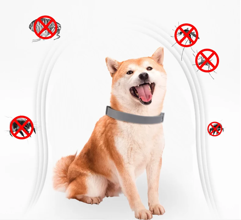 Safety Pet Dog Cat Outdoor Anti Flea Mite Tick Collar Neck Strap Adjustable Anti-insect Dogs Collars Cat Neck Straps Accessories (3)