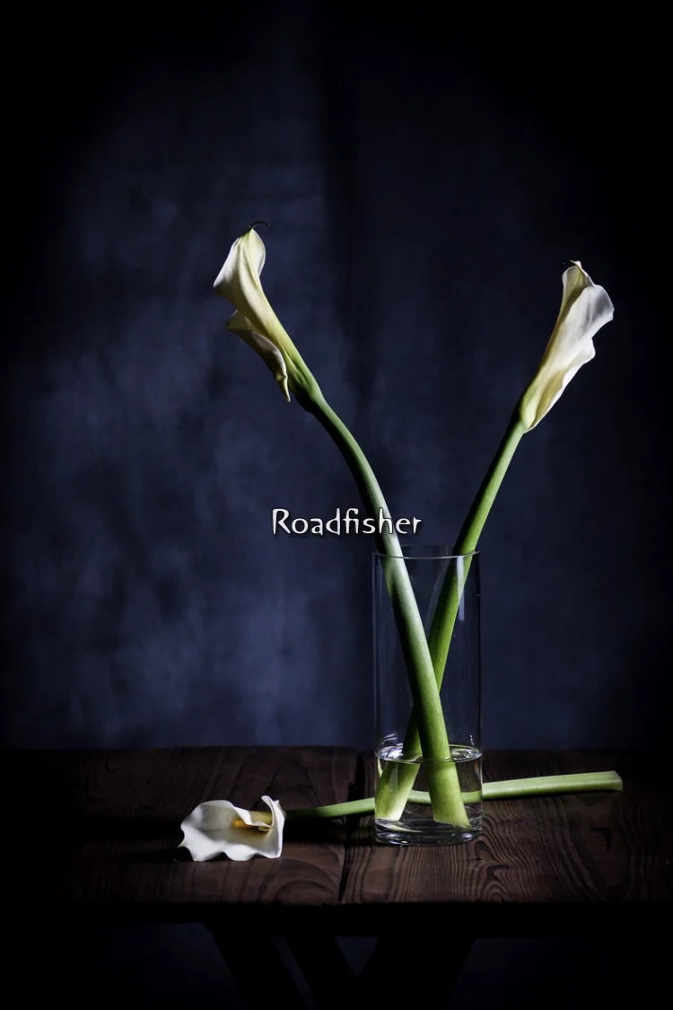 Photography backdrop cloth -26