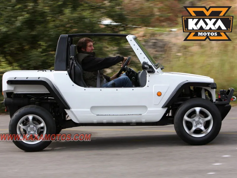 quadix buggy for sale