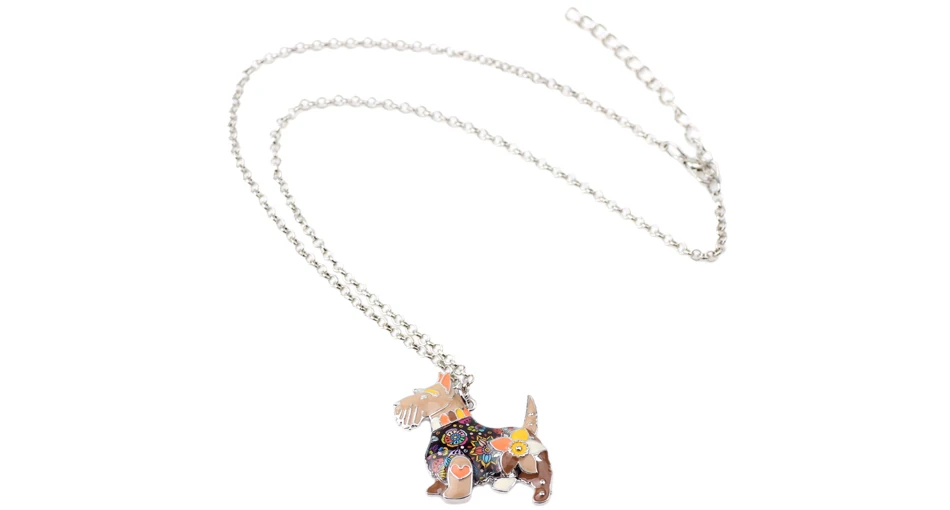 IMG_9810