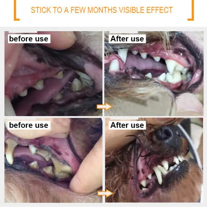 Собака Щенок зубная паста для кошек набор зубных щеток нетоксичный безопасный отбеливание зубов Чистка