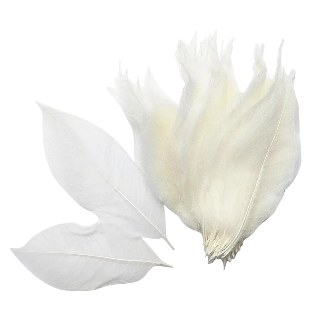 100 Pieces Magnolia Skeleton Leaf Leaves for Wedding Invitations Card Making Christmas Party Gift Wrapping Decoration