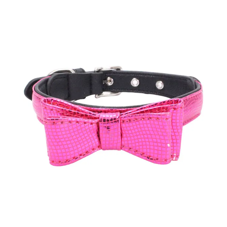 dog collar (8)