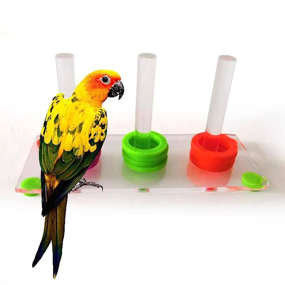 

Bright Color Parrot Bird Ring Separate Training Intelligence Development Funny Pet Bird Parrot Toys Bird Supplies