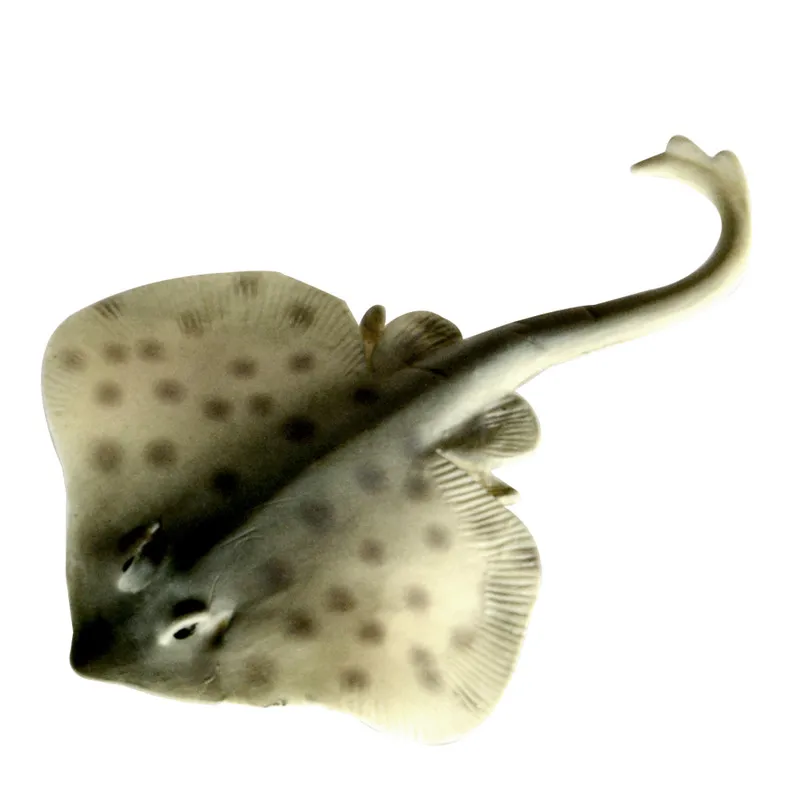 Sea life michigan coupons