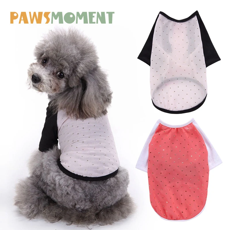 chihuahua summer clothes