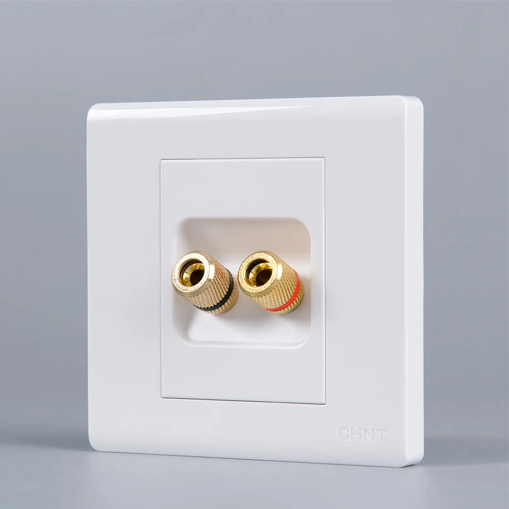 New Version 2 Speaker connector plate pic 1