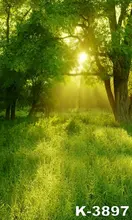 Photographic Background Forest 5x7ft Printing Spring Green Trees And Lawn Sunshine Lighting Backdrops Photo Studio For Children