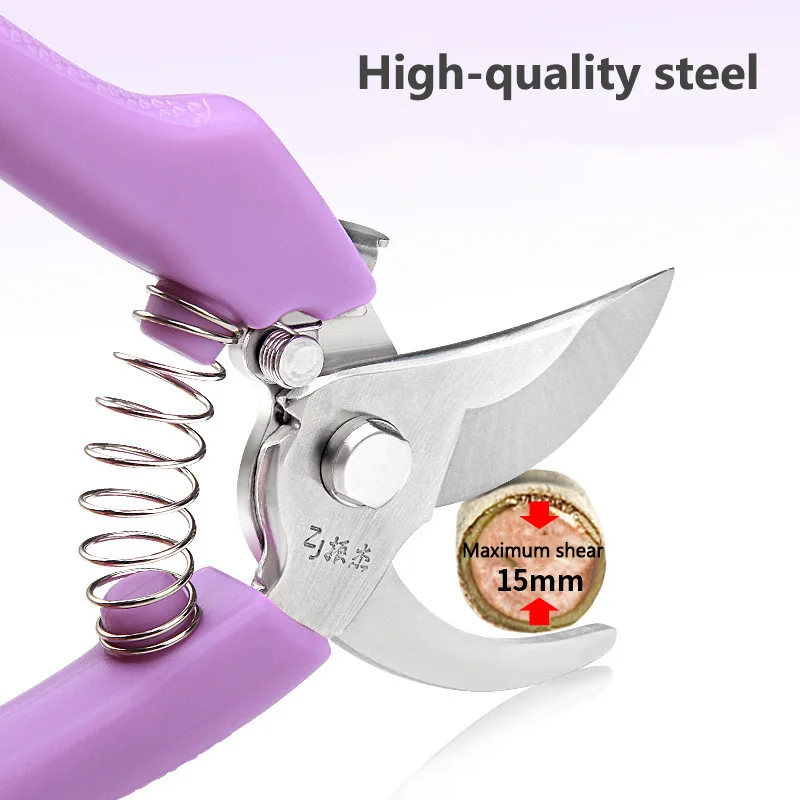 Pruning Scissors (6)