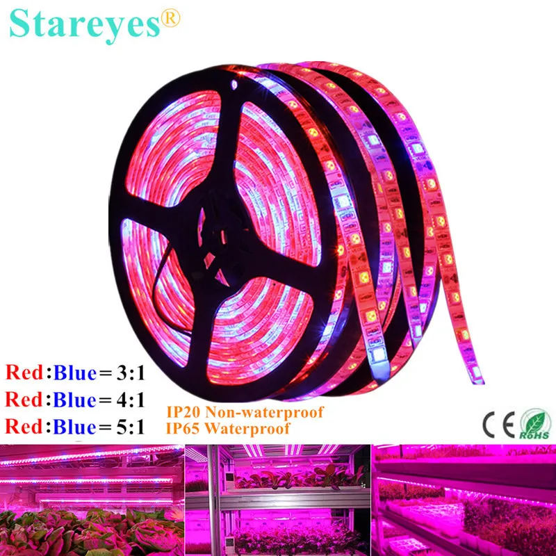 5M 5050 LED Grow Light Strip Lamp For Indoor Plants flower Greenhouse Hydroponic 