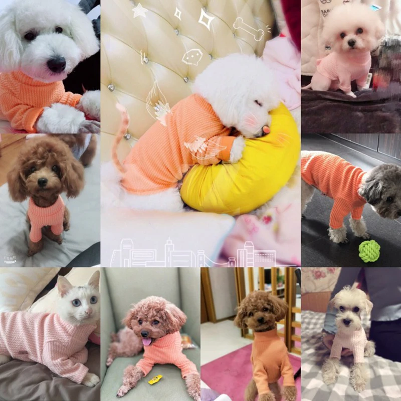 8692867234_2079131725