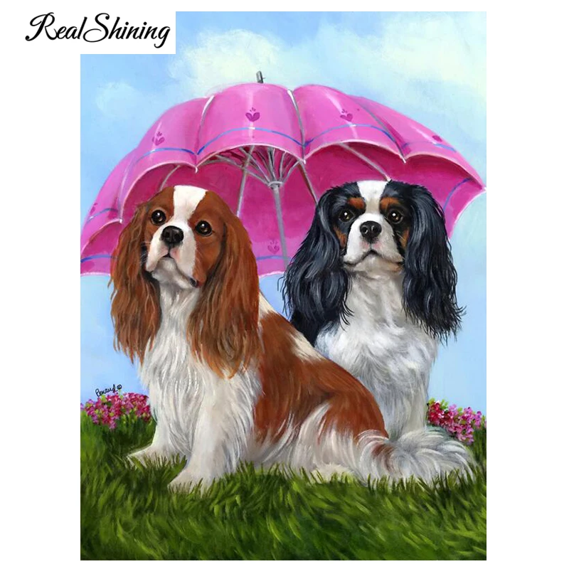 Cavalier King Charles Spaniel Dog 99
