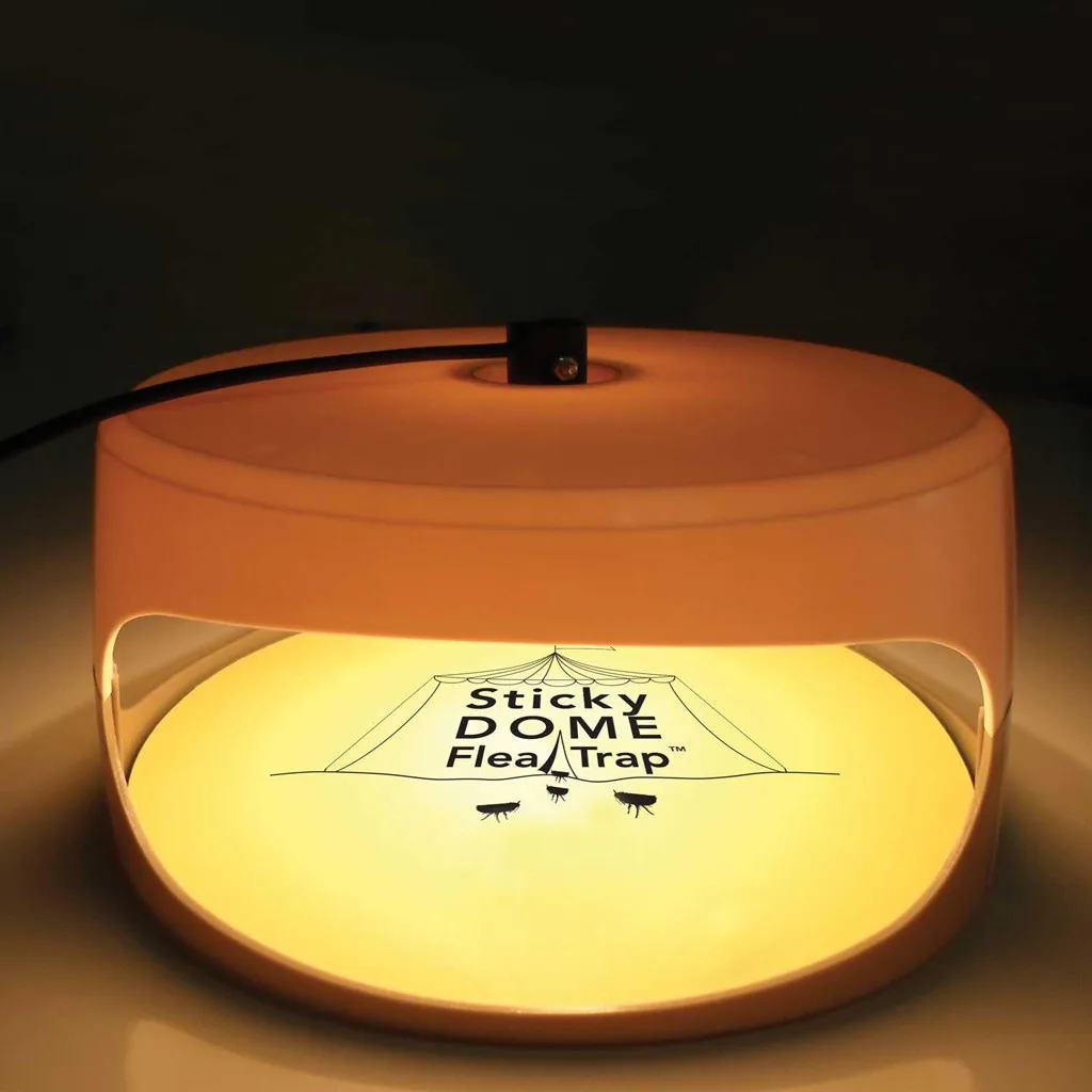 

2019 High Quality Household Electric Sticky Flea Cockroach Killer Trap Lamp Pest Fly Bug Catcher Shipped Within 36 Hours