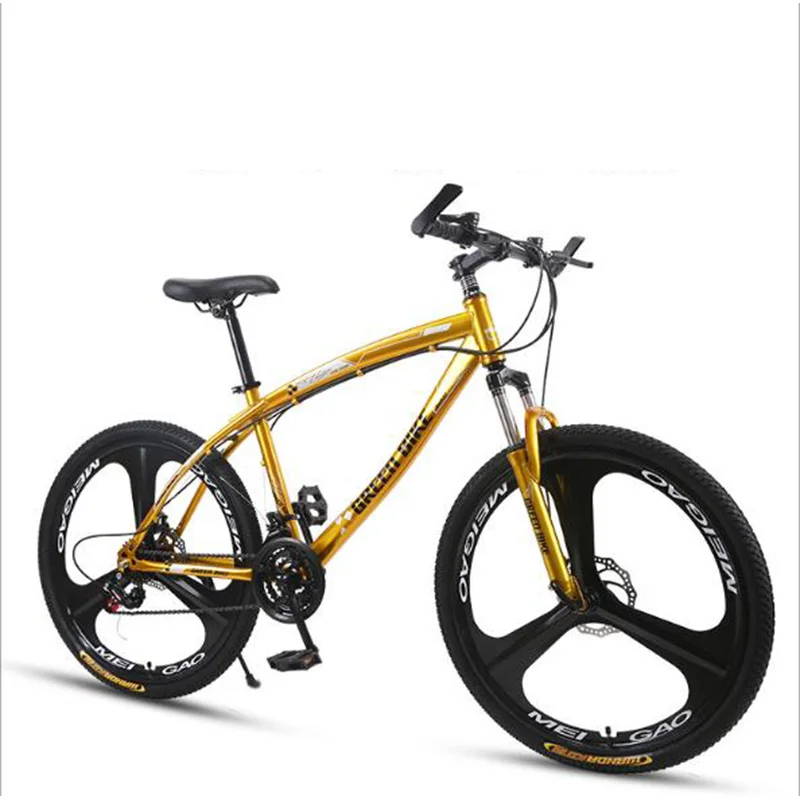 Variable Speed Mountain Bike