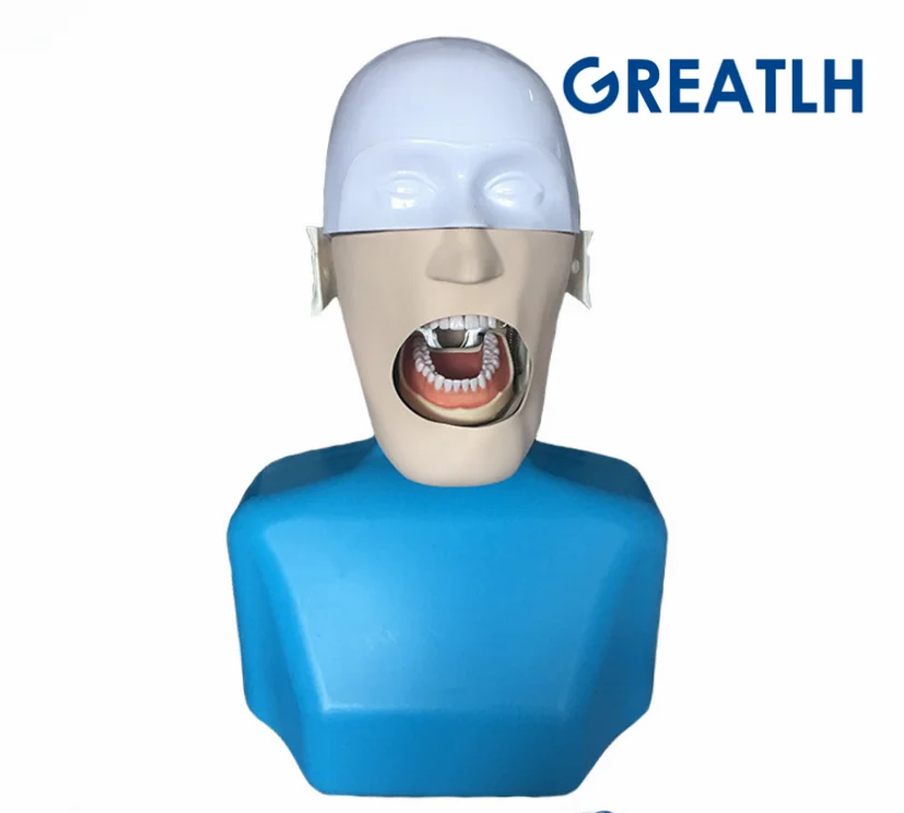 

Dental manikins Phantom Head for dentistry and dental technology Sennior manikins Phantom Head with Torso