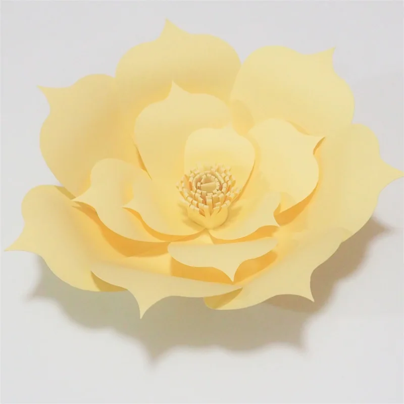 P4302620