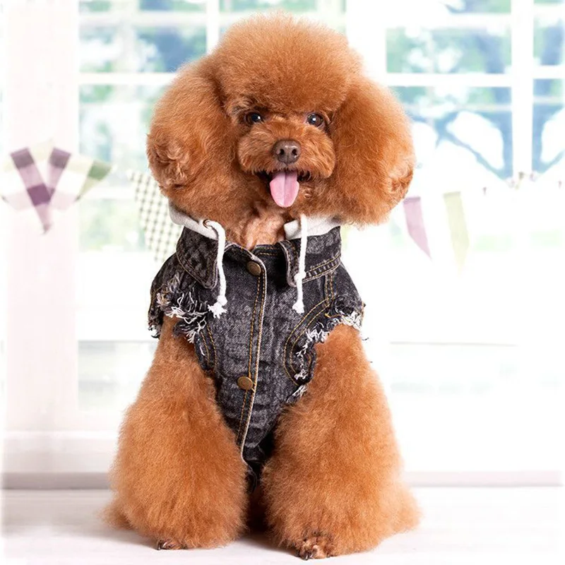 1 шт. собака джинсовая куртка рубашка жилет для собаки щенок одежда Чихуахуа пуди Французский бульдог Шнауцер Щенок Одежда Тедди товары для домашних животных