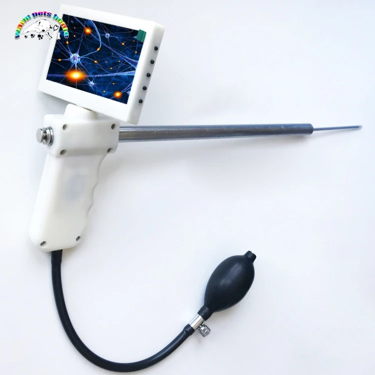 

Visual Insemination Gun for Dogs Sheep Animal Artificial Insemination Equipment Tools Dog Endoscope