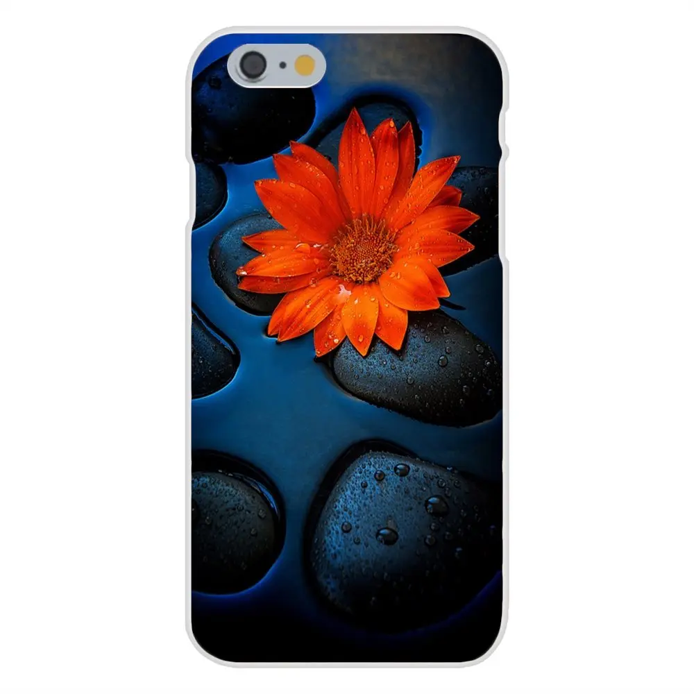 20170330231519_JEad8.thumb.700_0