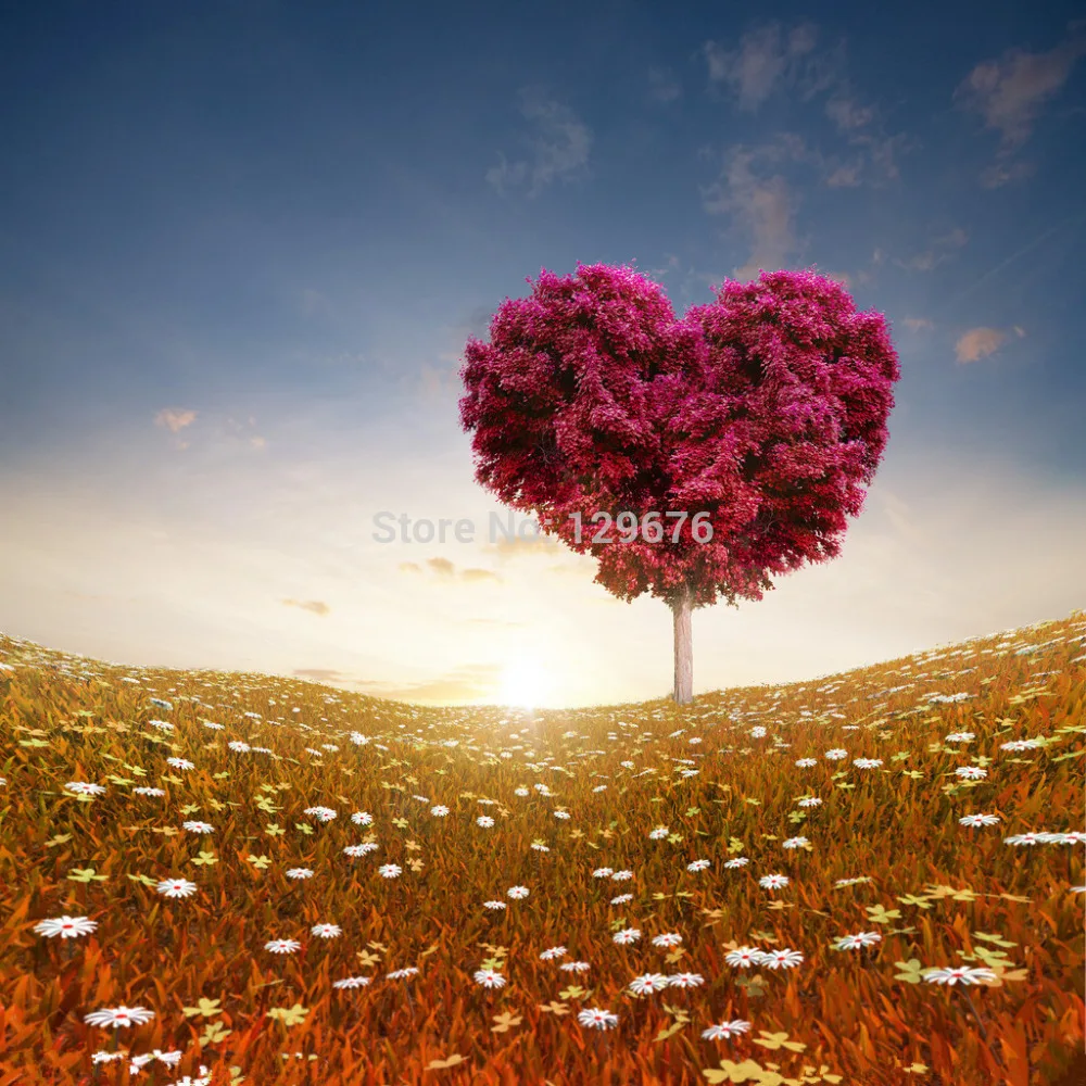 

10x10ft Valentine's day theme Photography Backdrops Vinyl Prop Photo Studio Background QRL319