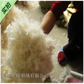 

Bulk feather &white duck feather &pillow and coat filler / doghouse filler /500g price