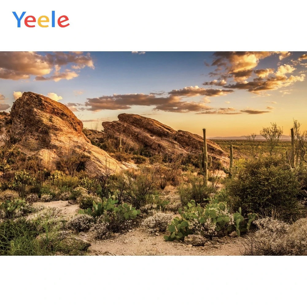 Yeele Autumn National Park Stone Natural Scenery Newborn Baby Backgrounds Custom Scene Photography Backdrops For Photo Studio |