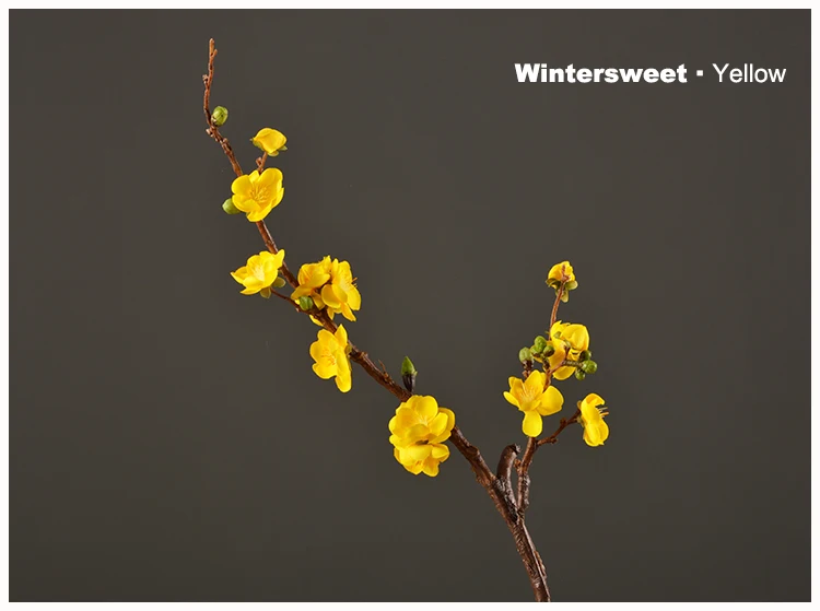 24 Wintersweet Product Image