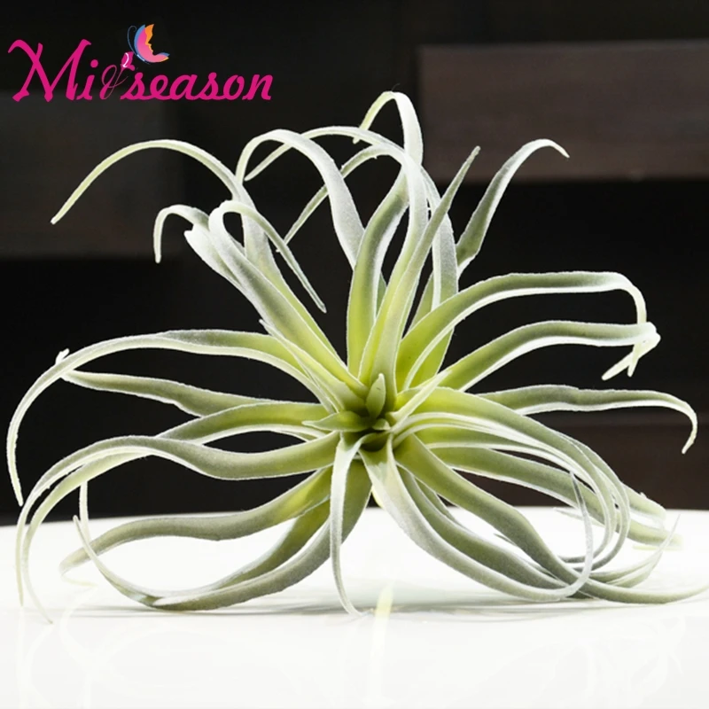 Flocking Artificial Fleshiness Air Grass Plant Microlandschaft Decorative Flower Home Balcony Decoration Wedding Festival Plants Flocking Artificial Fleshiness Air Grass Plant Microlandschaft Decorative Flower Home Balcony Decoration Wedding Festival Plants