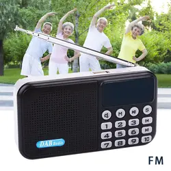 DAB/DAB + FM радио FM MP3 карман оборудования Bluetooth Динамик удобный экономического