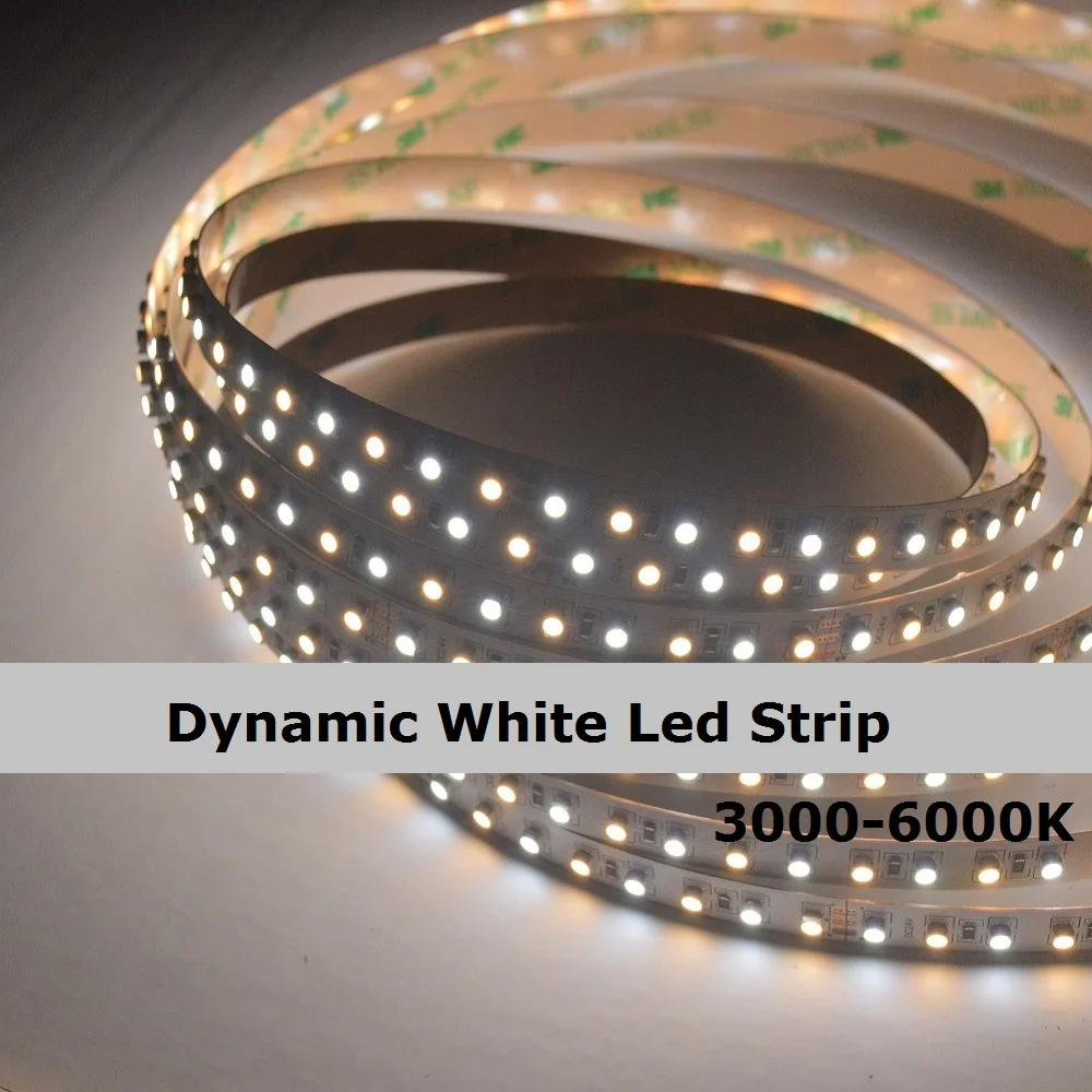 Dynamic White Led Strip 3528, DC12/24V,120leds/meters,48W 5meters