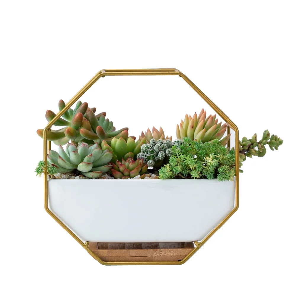 Hanging Succulent Flower Pots Ceramic Flowerpots Stand Holder Hanging Succulent Flower Pots Ceramic