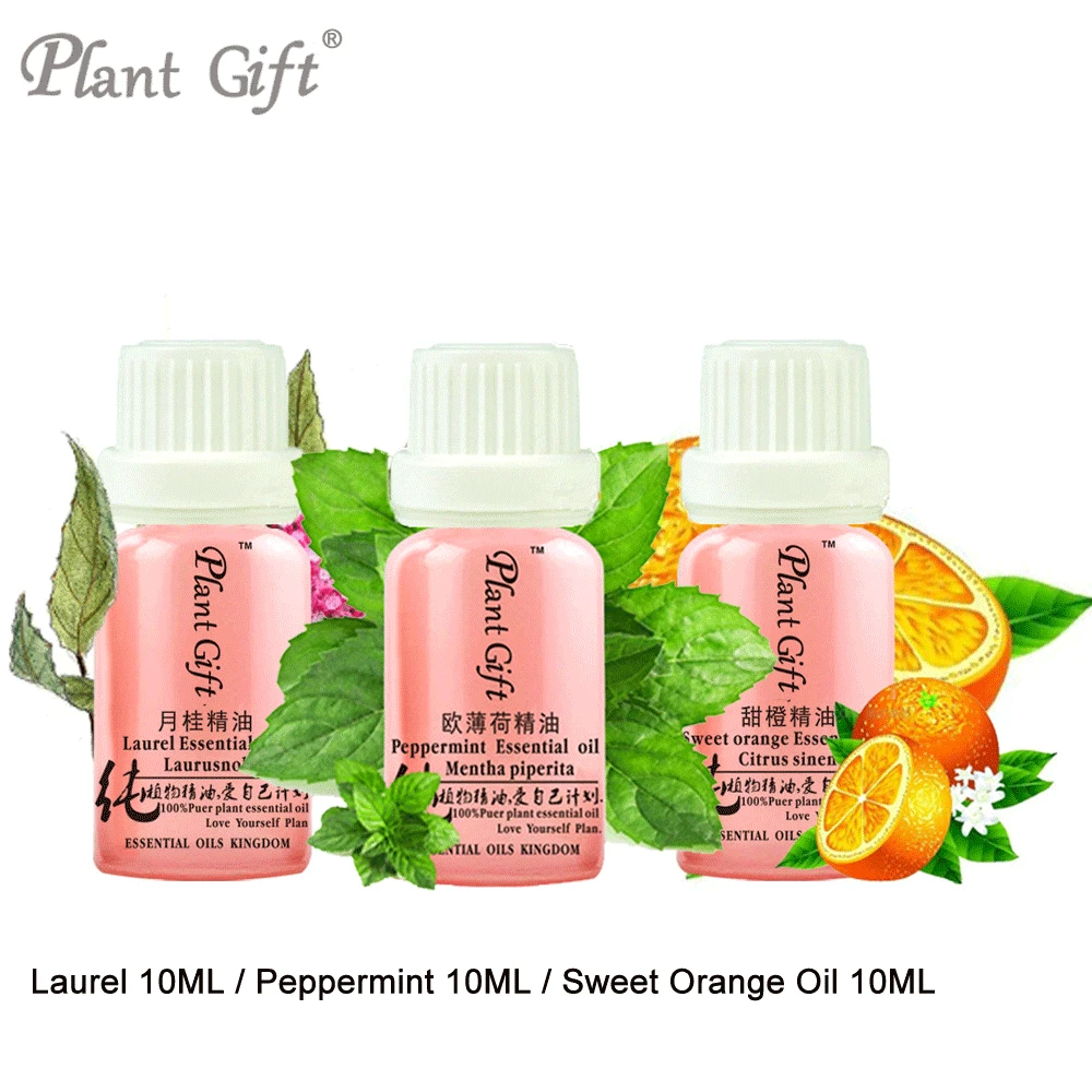 

100%pure Plant Essential Oils Laurel / Peppermint / Sweet Orange Oil 10ml Bay Oil Morocco Imports Convergence Pores Insecticidal