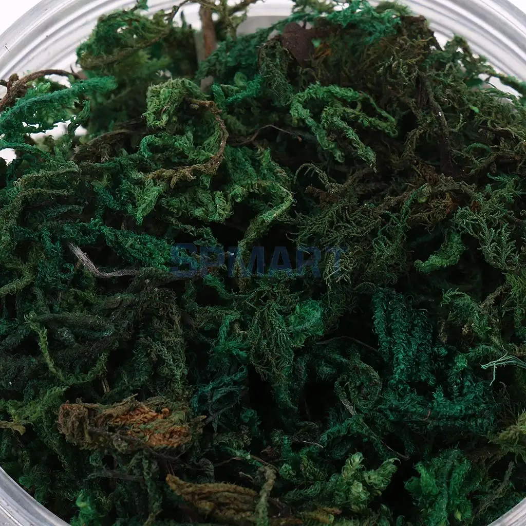 100ML/500ML Dry Grass Model Moss for Layout Terrain Vegetation Diorama Building Toy