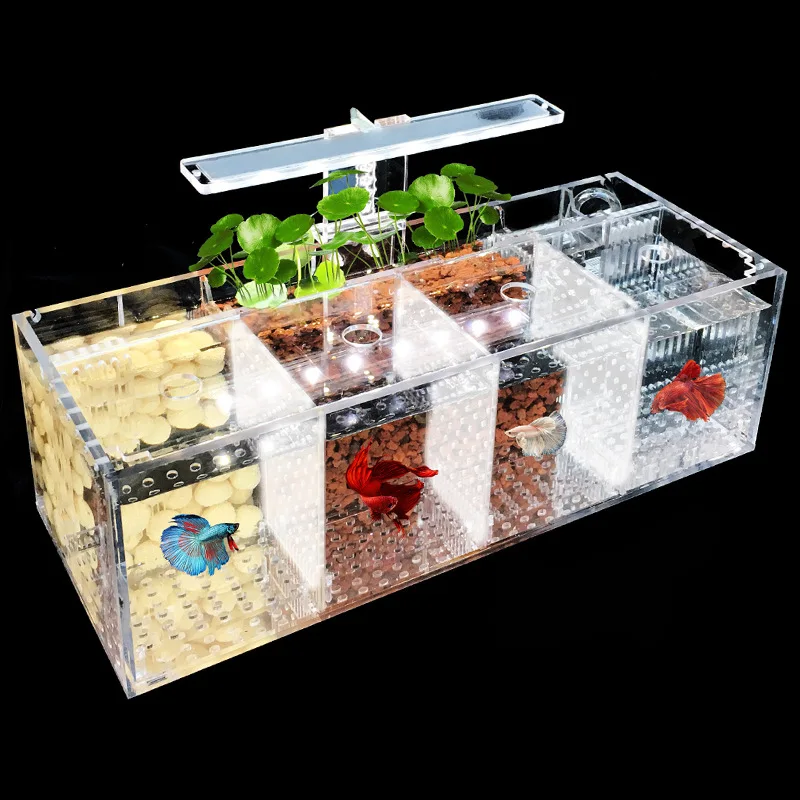  Acrylic Bettas Cylinder Isolated Fish Tank Tilted Water Pump Breeding Cylinder Baby Betta Tank Gupp