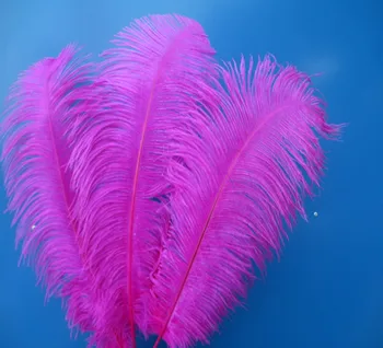 

Cheap! Beautiful rose ostrich feathers 50 pcs 14-16 inches / 35-40 cm Free Shipping
