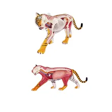 3D головоломка Сборка DIY игрушки Прозрачный Собранный Тигр анатомическая модель животных Тигр головоломка дети научная образовательная игрушка