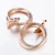 Alloy Drop Simple Exaggeration Earrings For Women 8