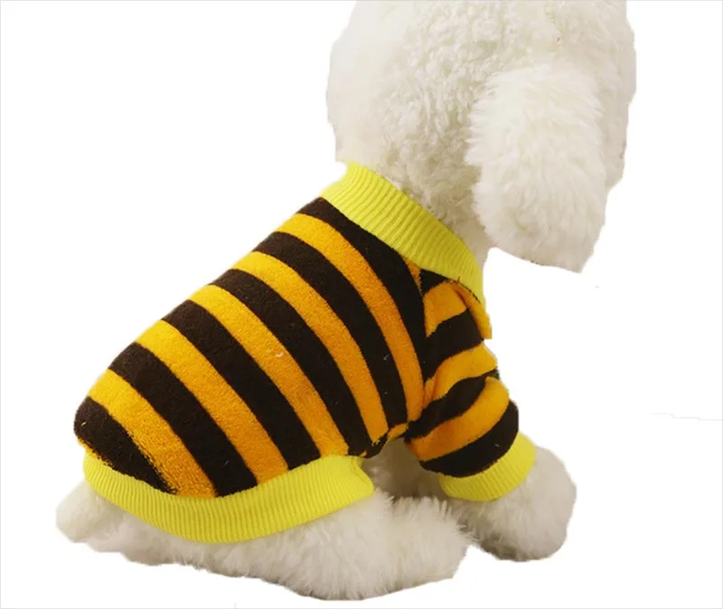 Dog sweatshirt