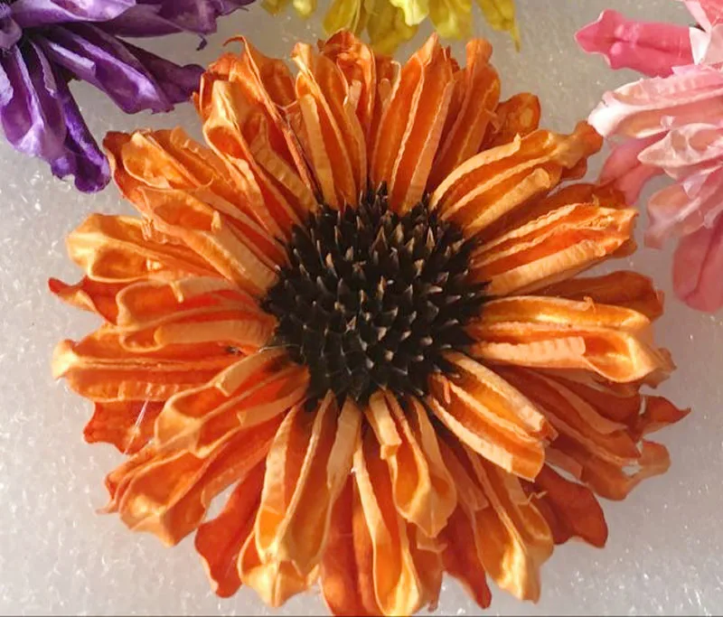 1017-SKUͼ-571162510859_sku_2