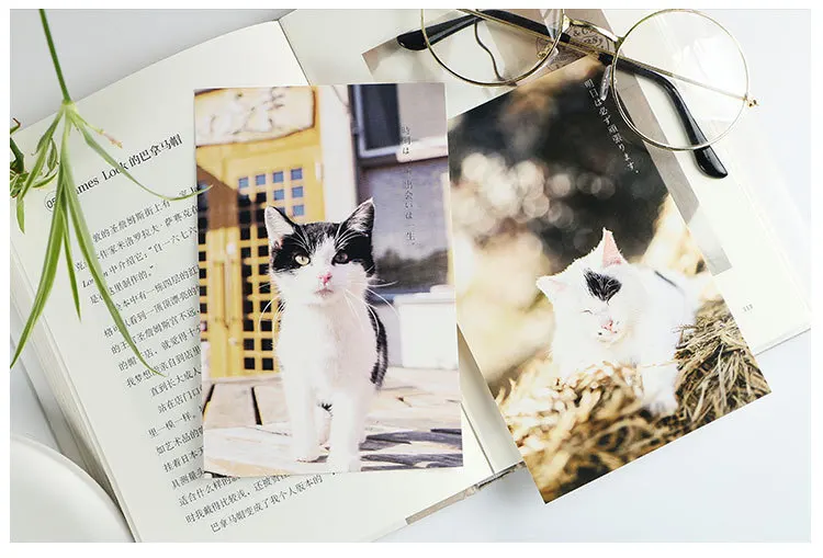 30 листов/набор милый кот и лес открытка поздравительная открытка подарок на день рождения открытка с сообщением