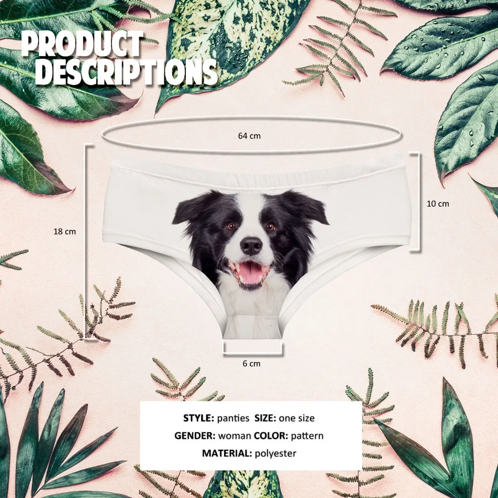 54938 BORDER COLLIE (00)