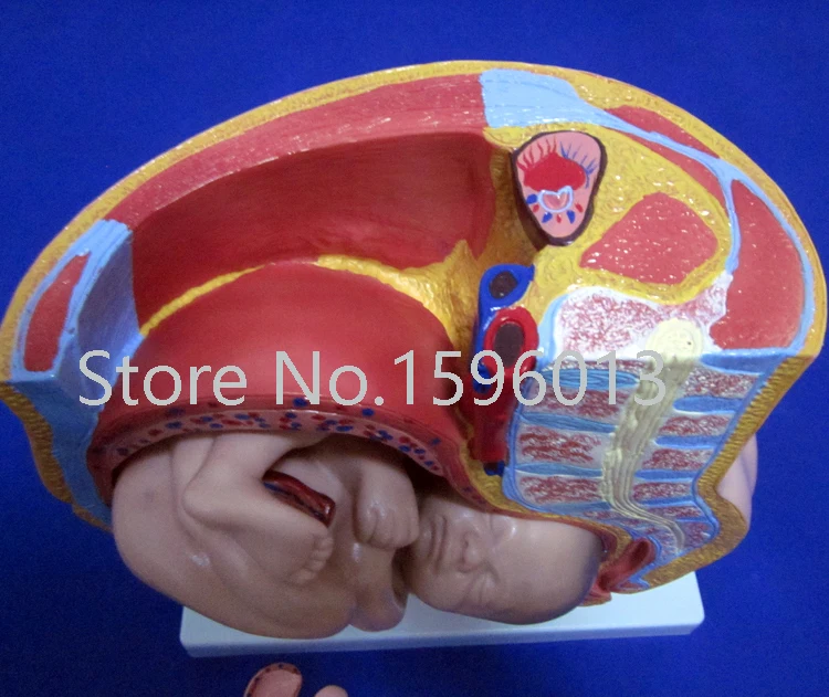 332B 23.jpg