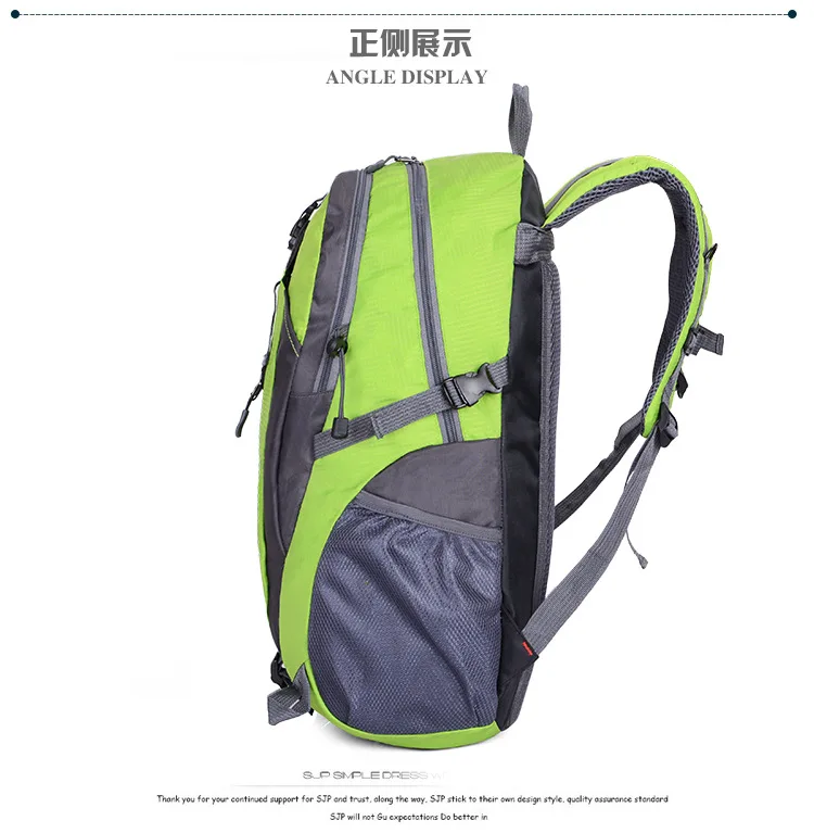 6 - 4462879120_11569364